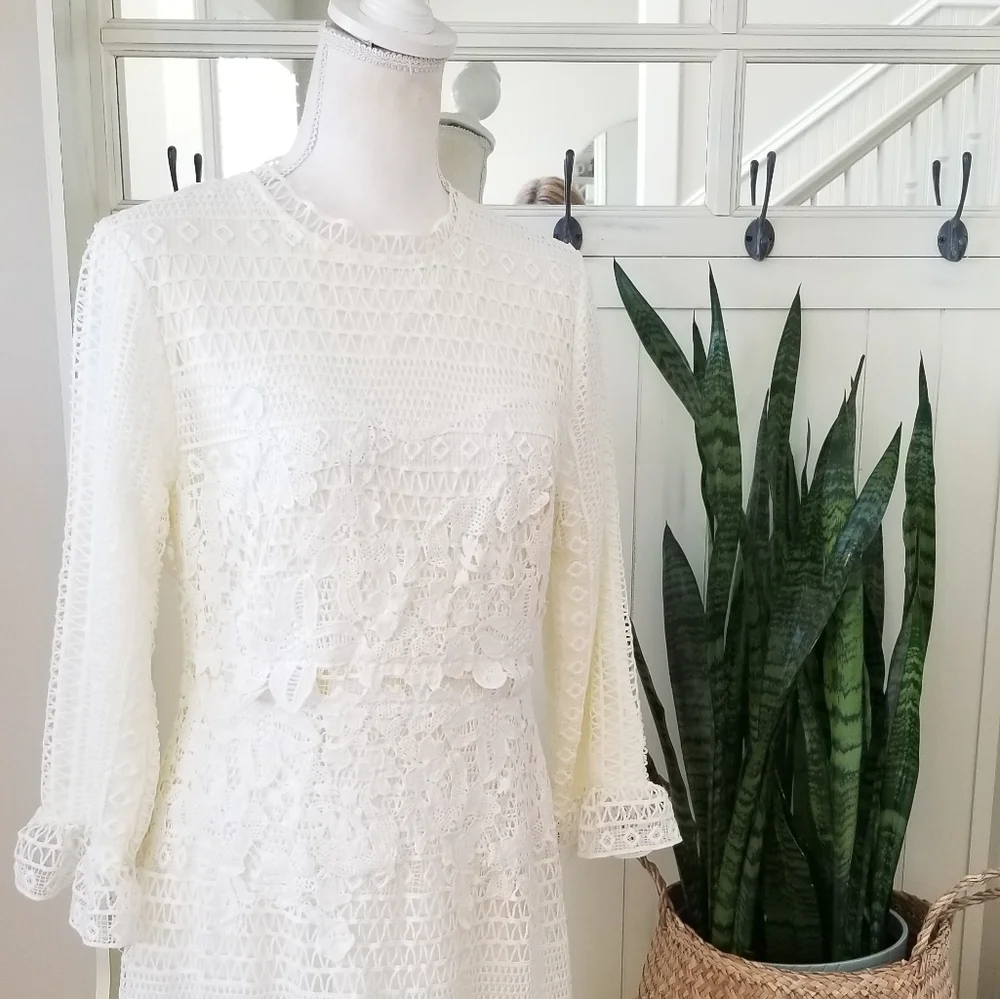 Stunning Off White Fitted  Lace Midi Dress - Picture 4 of 12